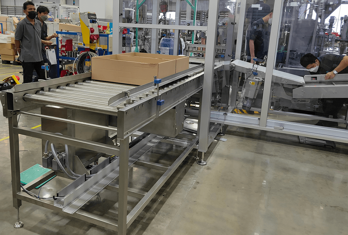 Carton Conveyor System 